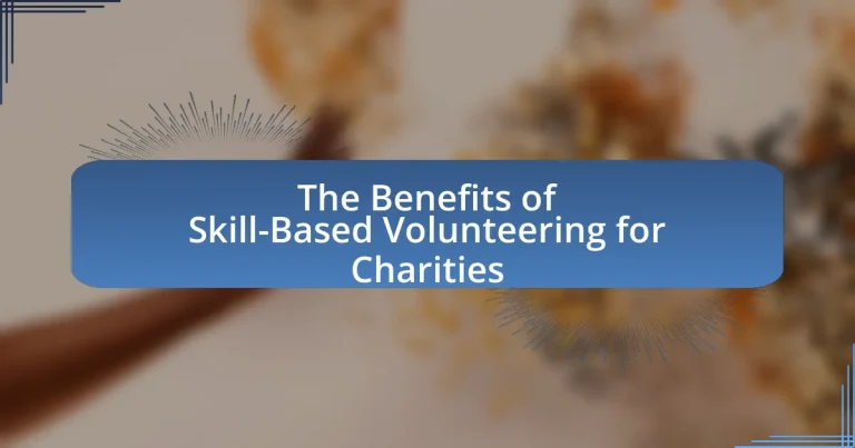 The Benefits of Skill-Based Volunteering for Charities